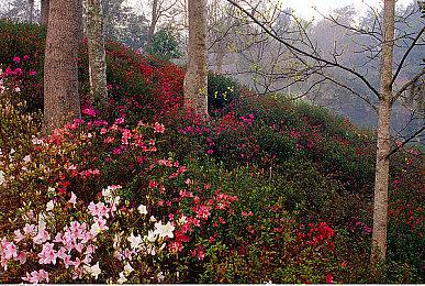 Bungie确认Lance Reddick将在未来的《命运》内容中出现